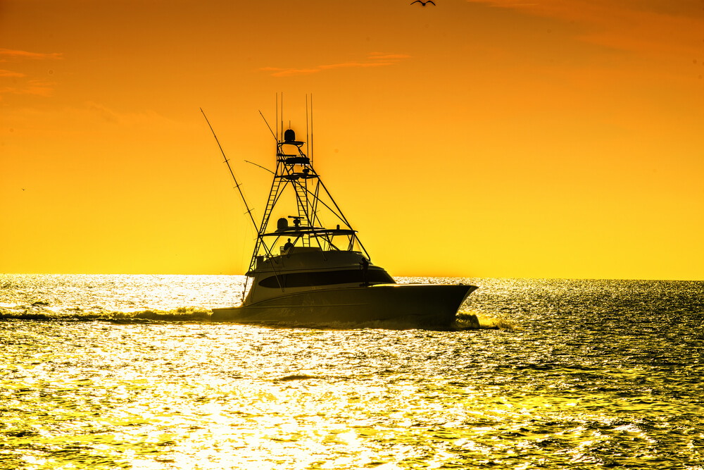 A Guide to Boat Tours in Fort Myers Beach