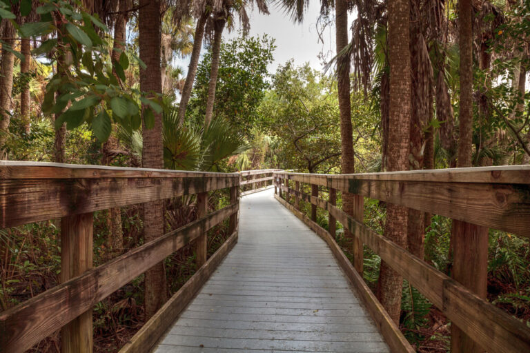 wooden boardwalk winding through parks in Fort Myers