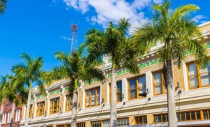 historic buildings with palm trees: things to do in downtown Fort Myers