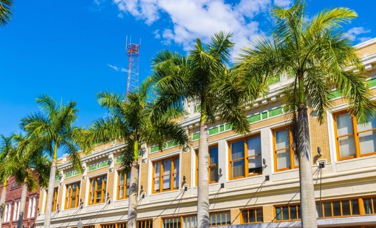 historic buildings with palm trees: things to do in downtown Fort Myers