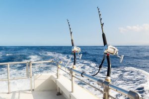 fishing charters in Fort Myers Beach