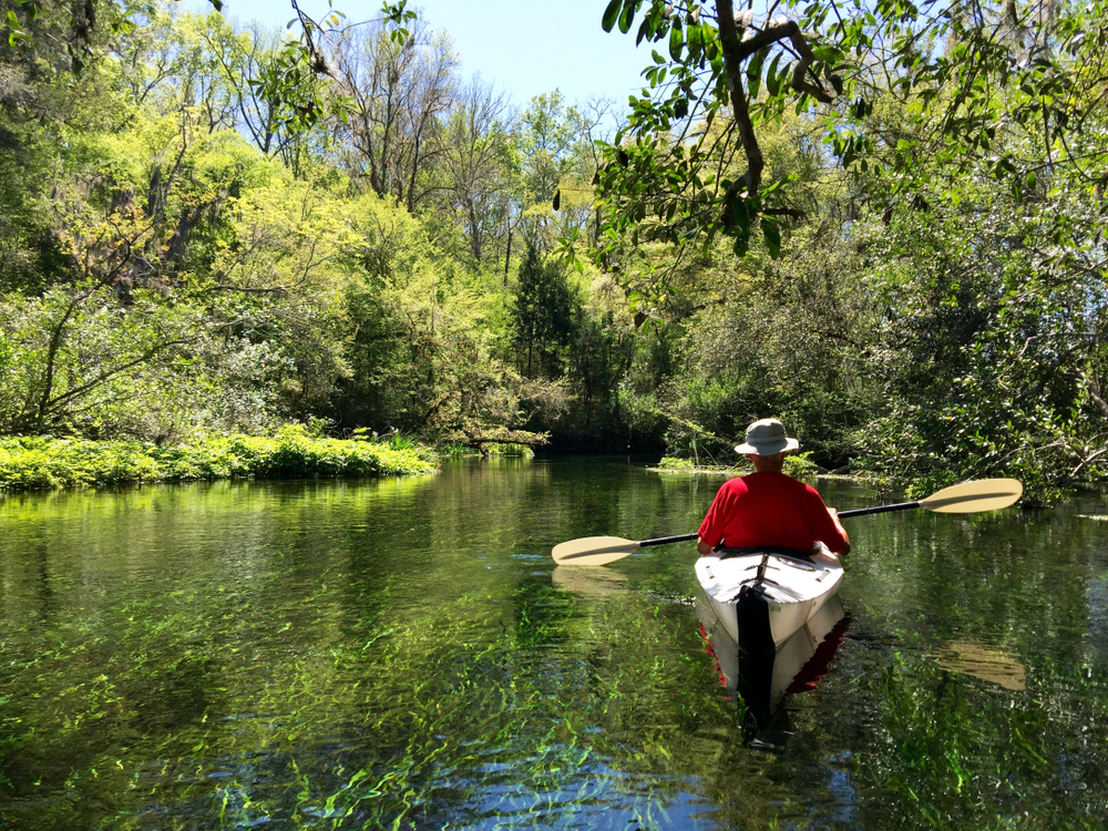 Person kayaking amidst trees in the Fort Myers area
