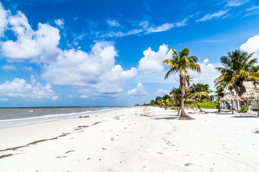 View of the beach and palm trees, top attractions in Fort Myers Beach